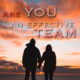 Are you an effective team