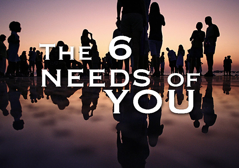 The 6 needs of You