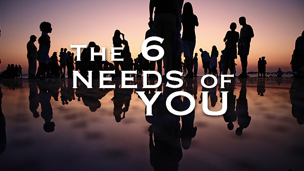 The 6 Needs Of You