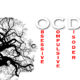 OCD Obsessive Compulsive Disorder